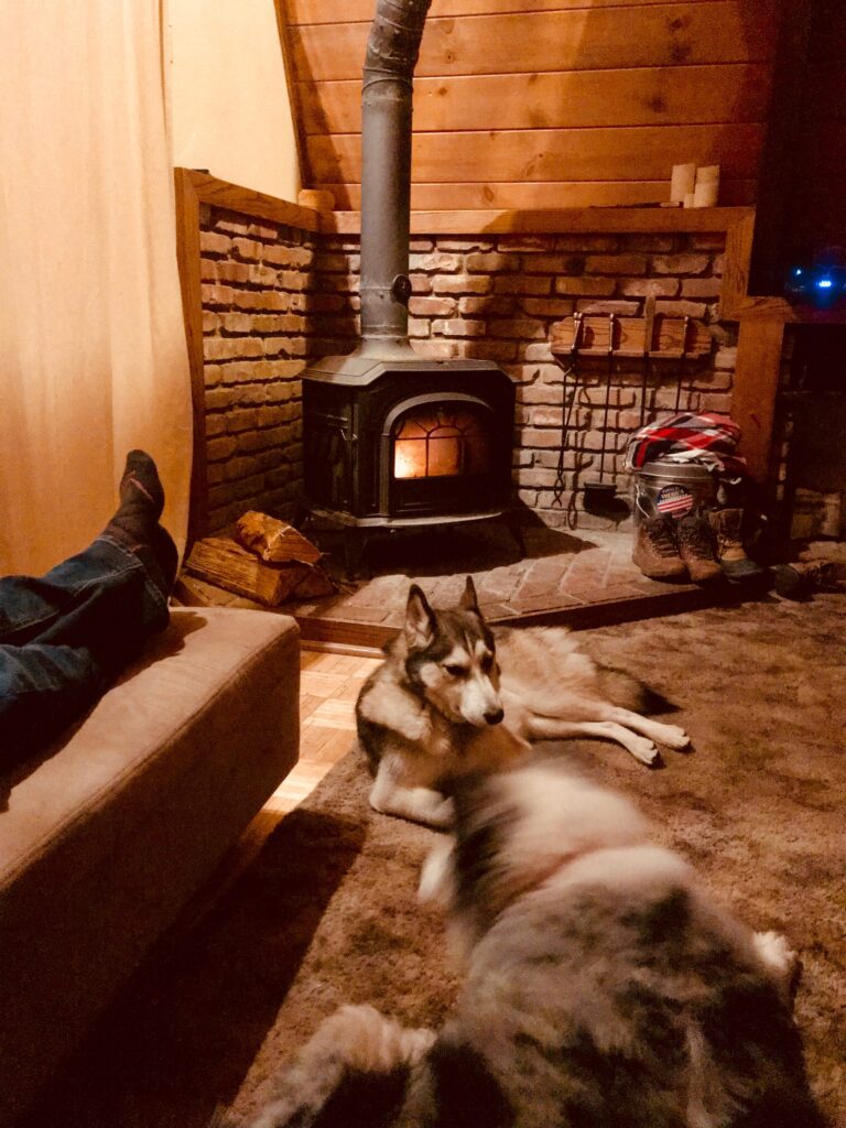 Dogs by Fireplace in Cabin