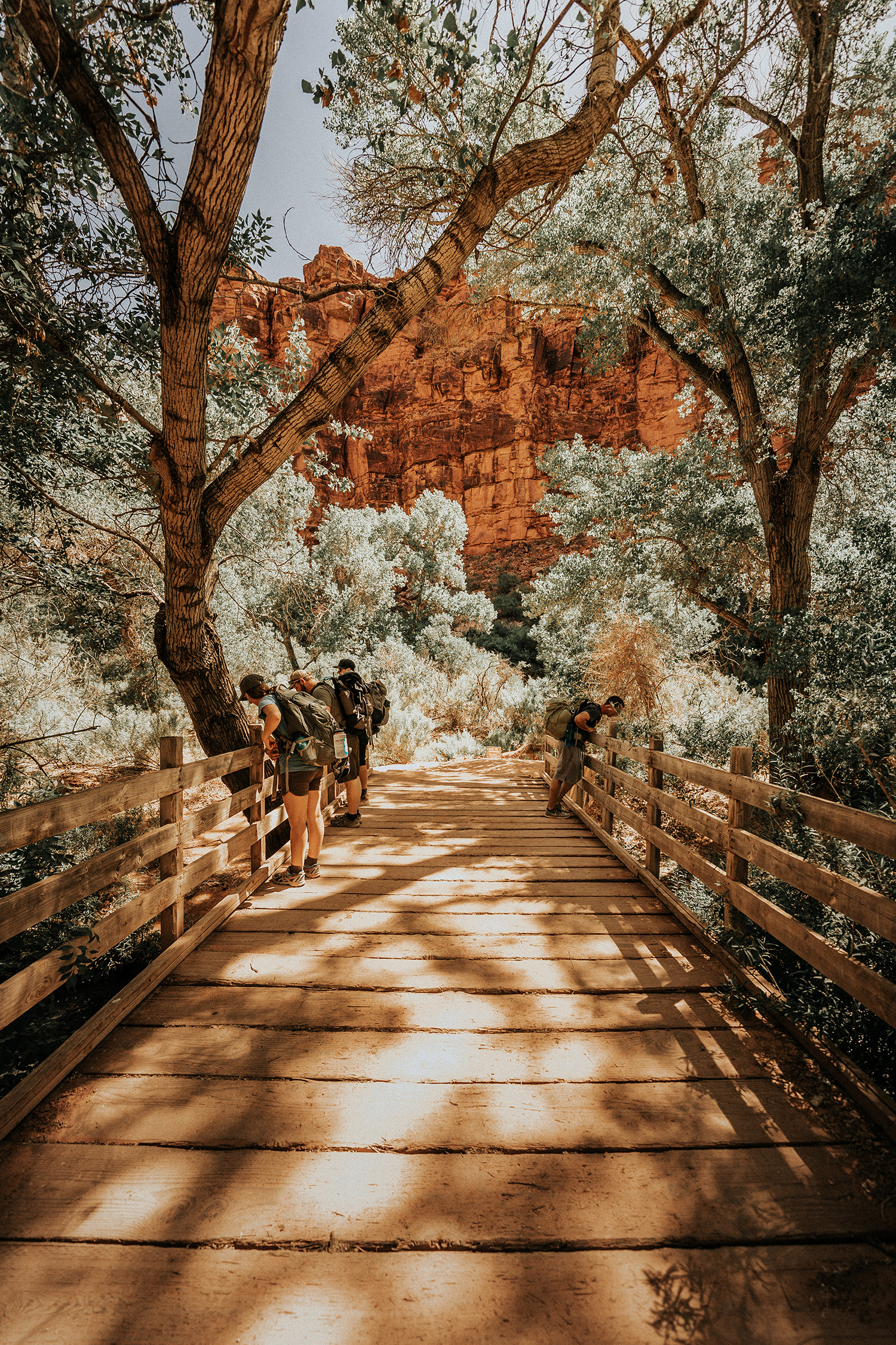 Web Havasupai Hike Arizona _ashlee.ann_12