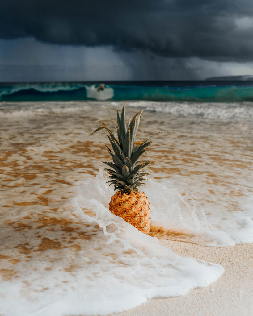 Maui Hawaii _ashlee.ann_7