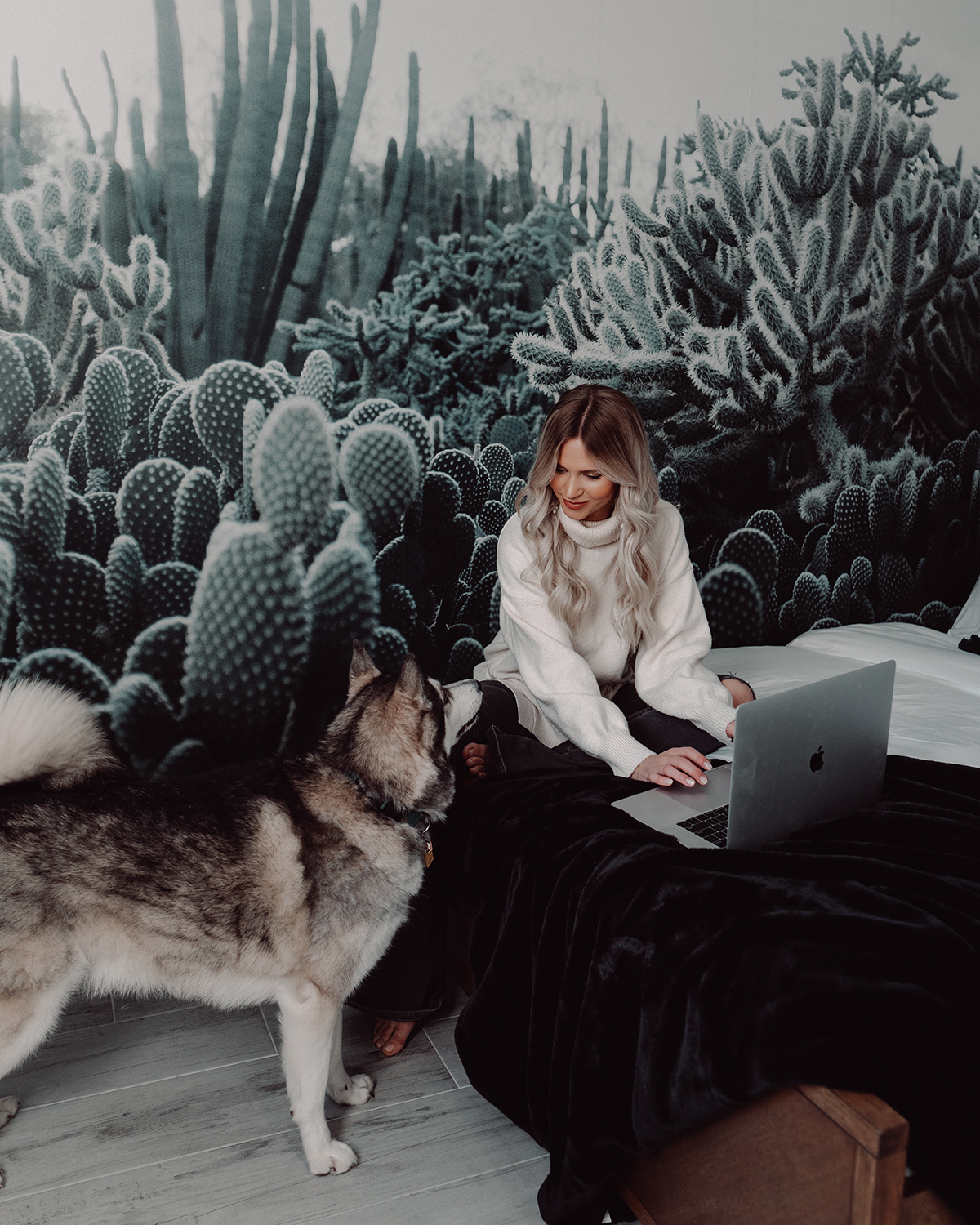 HomeSlice Luxury Home Rental in Scottsdale Arizona | Lovely and Limitless