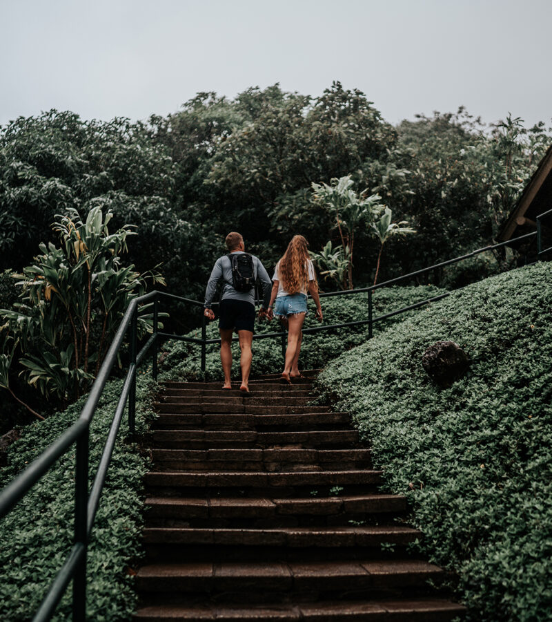 Maui Iao Valley State Park