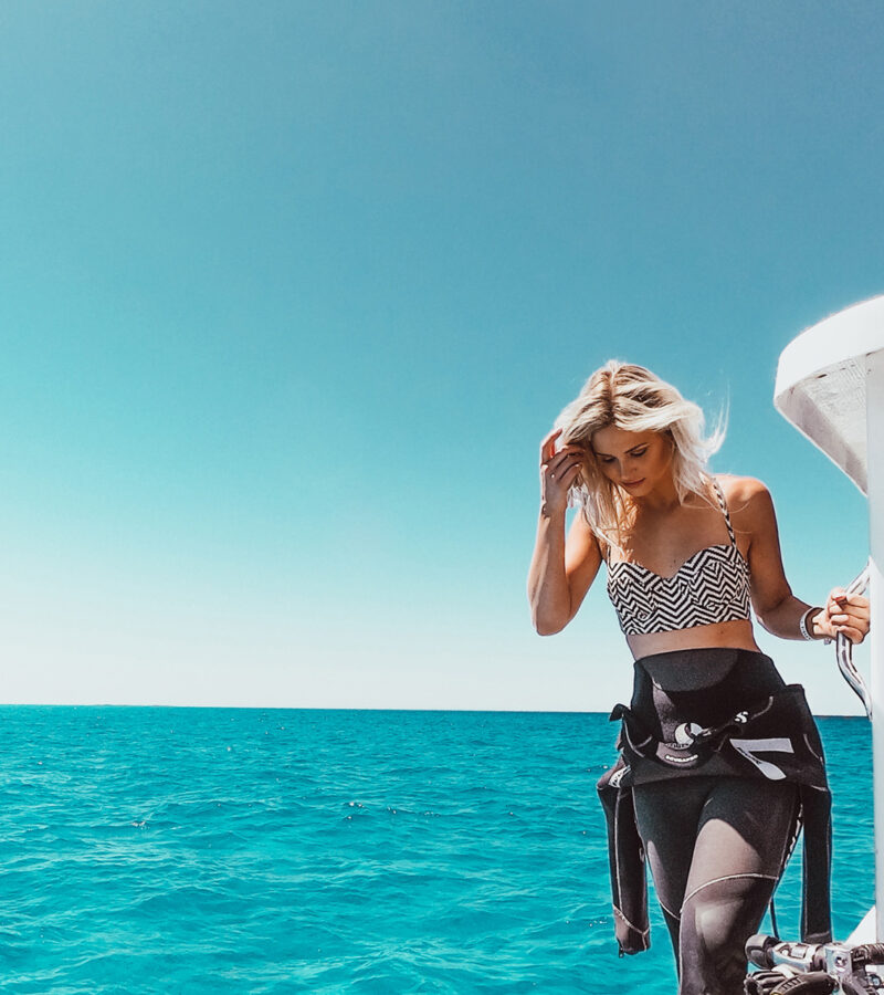 Bimini Bahamas Shark Dive _ashlee.ann_