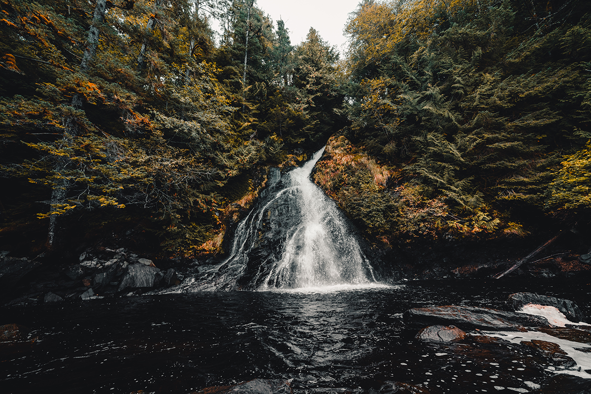 Salmon Falls Resort Ketchikan Alaska @_ashlee.ann_