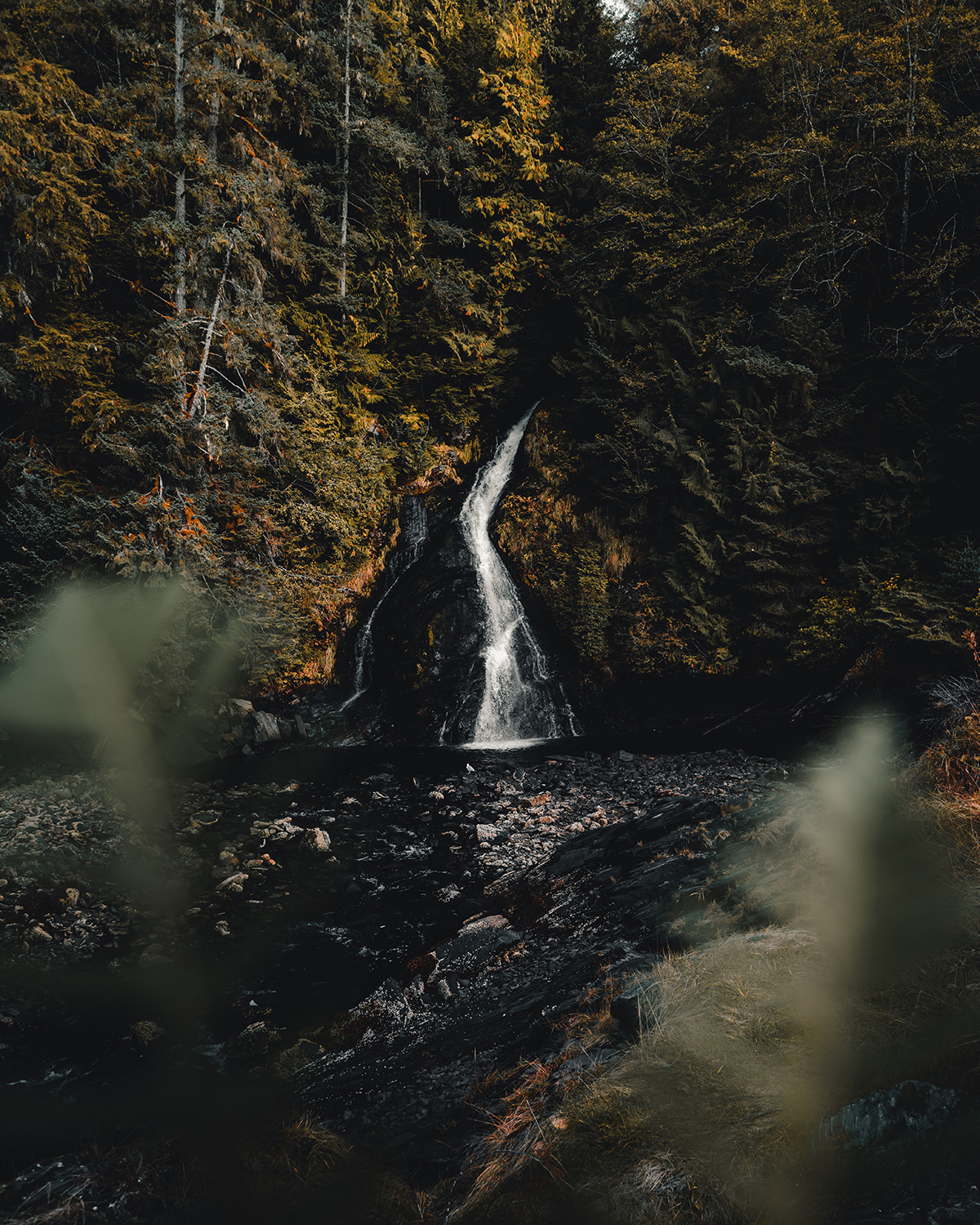 Salmon Falls Resort Ketchikan Alaska @_ashlee.ann_