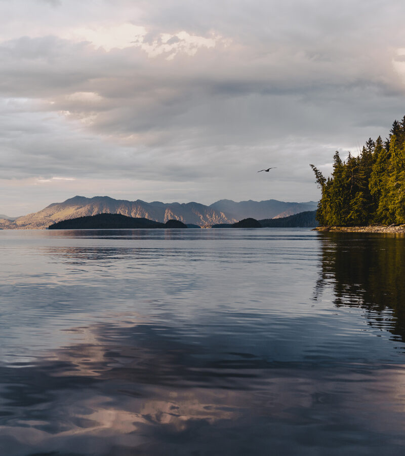 Salmon Falls Resort Ketchikan Alaska @_ashlee.ann_