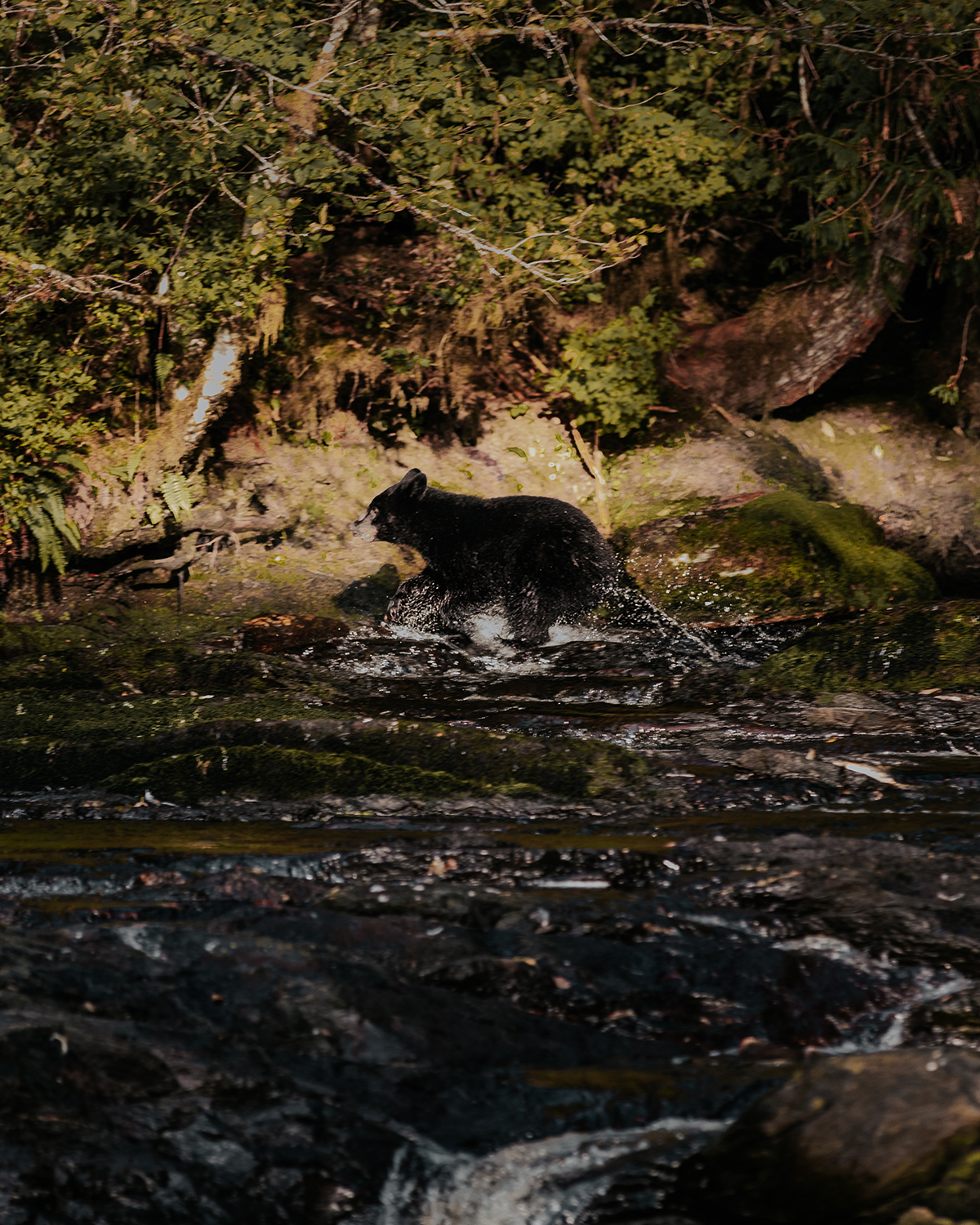 Salmon Falls Resort Ketchikan Alaska @bokeh_of_flores