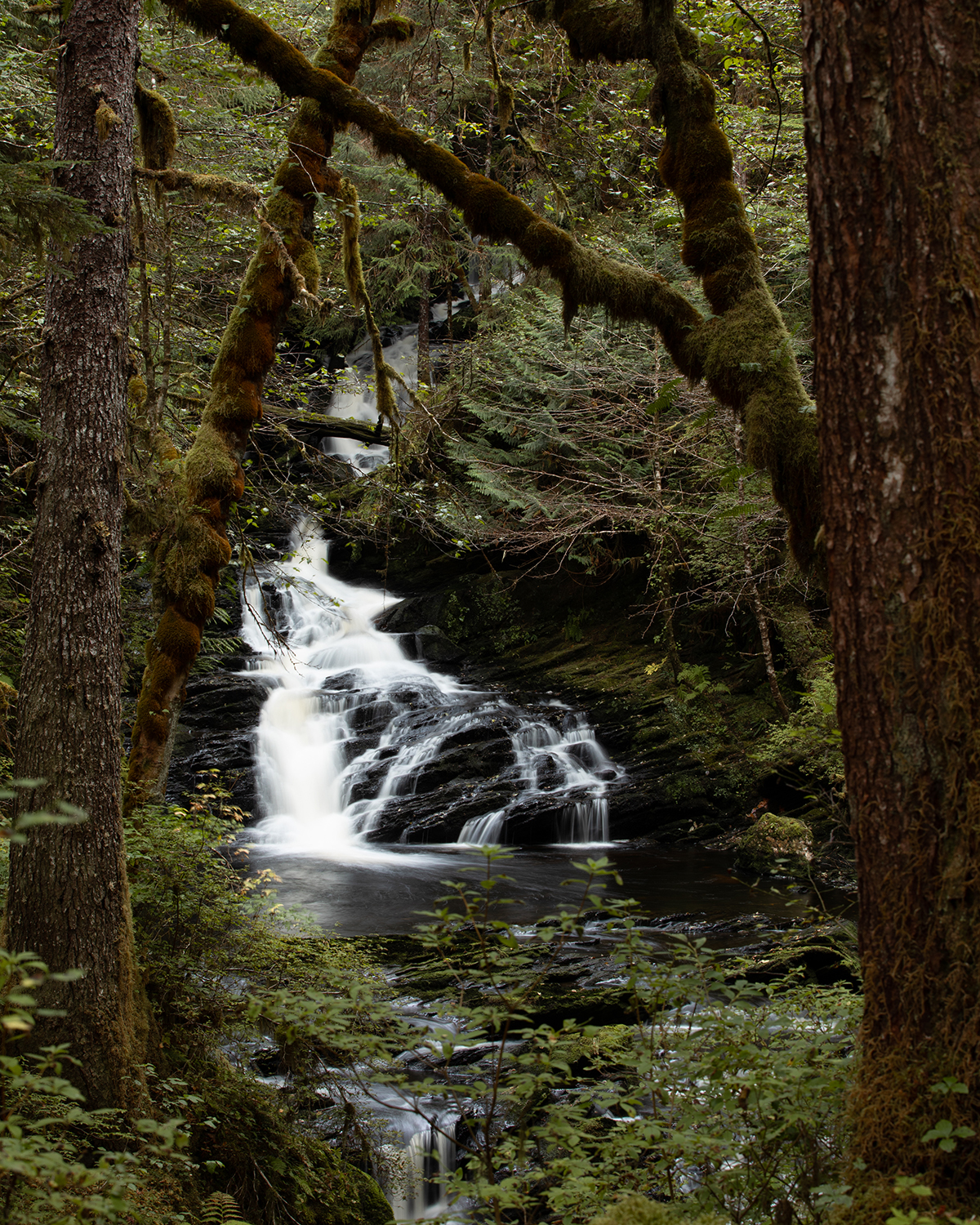 Salmon Falls Resort Ketchikan Alaska @bokeh_of_flores