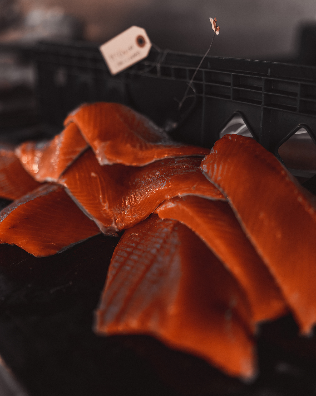 Salmon Fishing Ketchikan Alaska @_ashlee.ann_