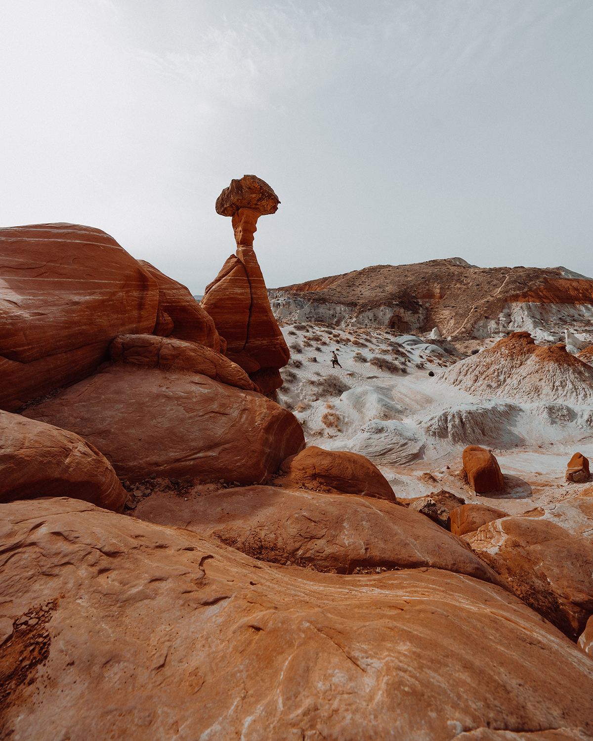 Toadstool Hoodoos Utah @_ashlee.ann_