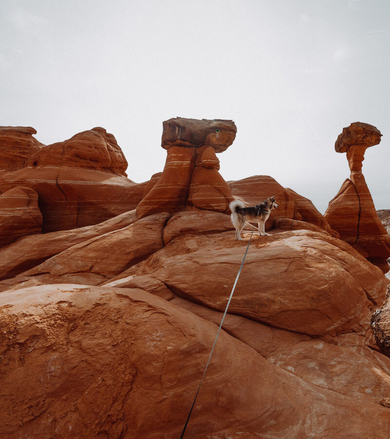 Toadstool Hoodoos Utah @_ashlee.ann_