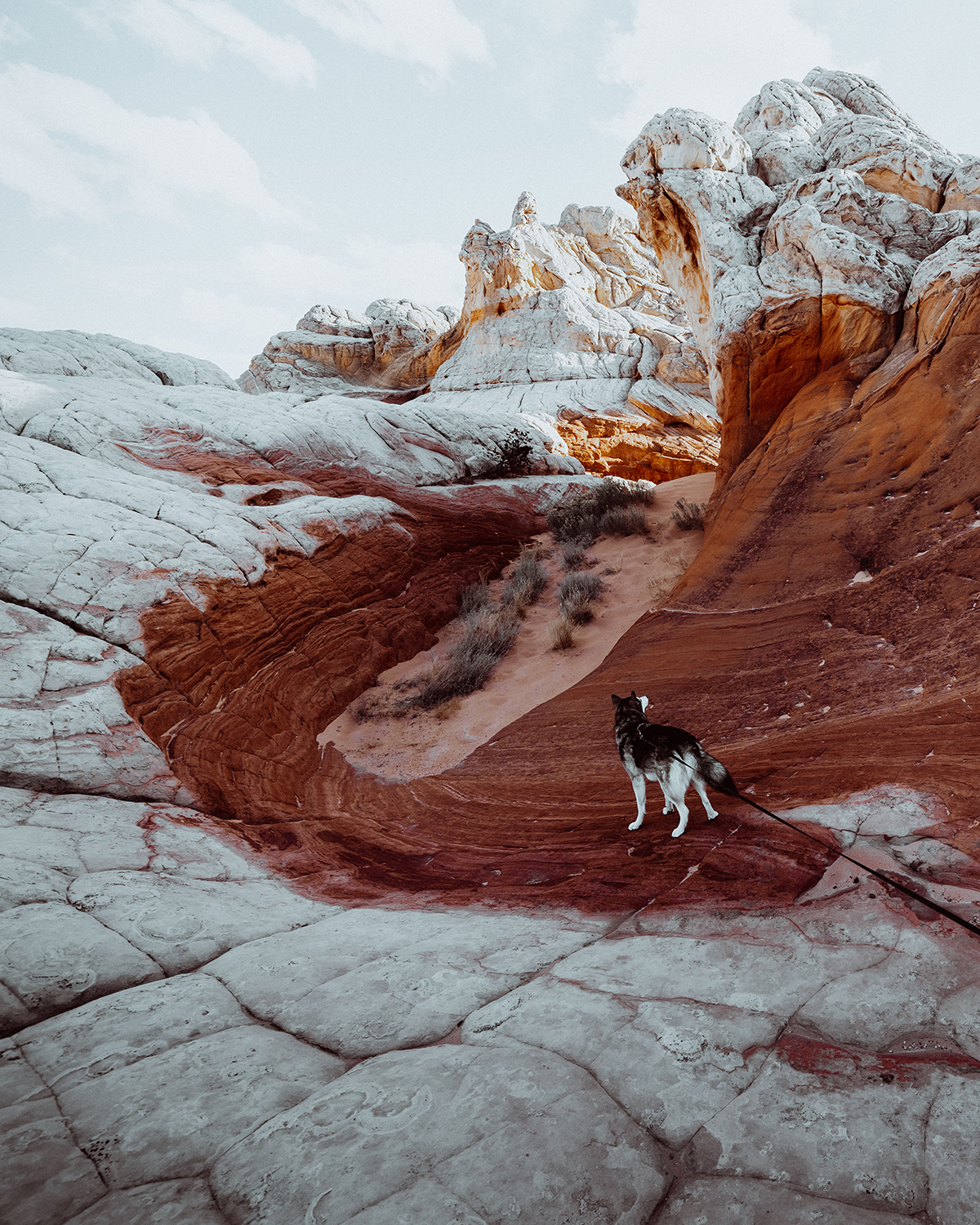 White Pocket Arizona @_ashlee.ann_