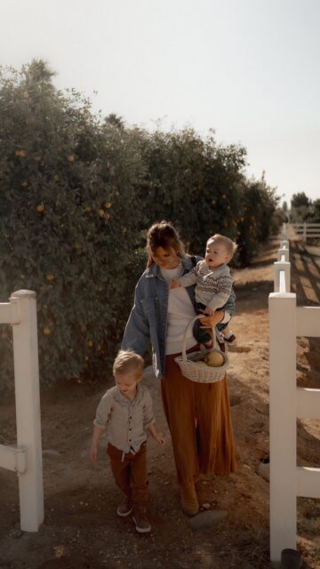 Simple mornings picking lemons and grapefruit with the boys. They loved petting the horses too🐴🍋 Need more photo sessions like this 🥹 #arizonaphotographer #familyphotography #peoriaaz