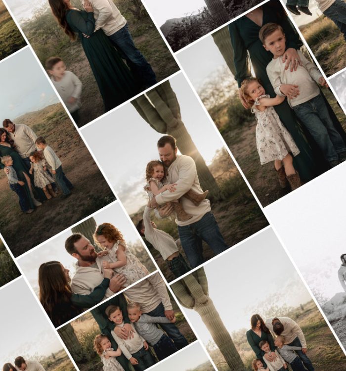 Sonoran preserve arizona