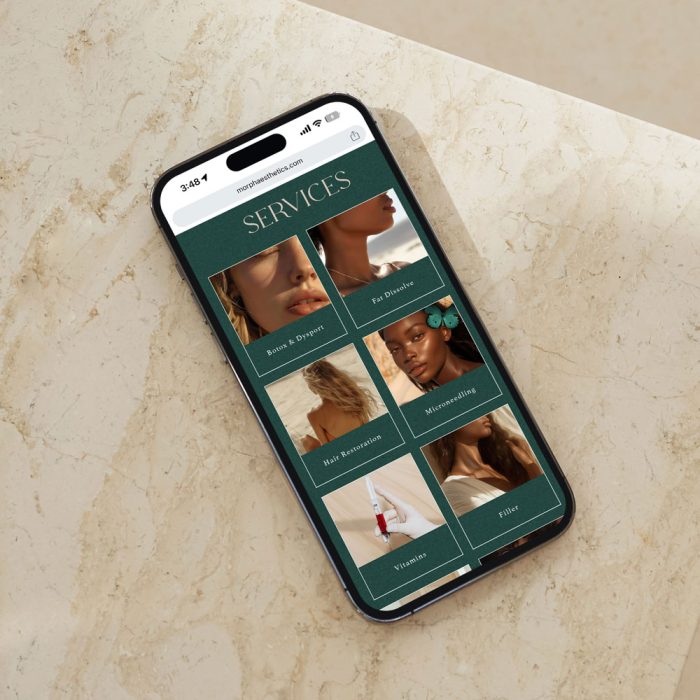 aesthetics-website-design2